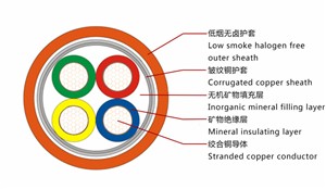 一帶一路沿線國家光伏分析：沙特阿拉伯