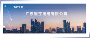 省團標專家審定會議在 廣東香蕉在线观看视频順利舉行