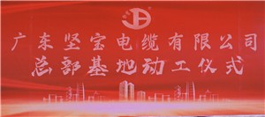 廣東香蕉在线观看视频電纜有限公司總部基地落成奠基儀式